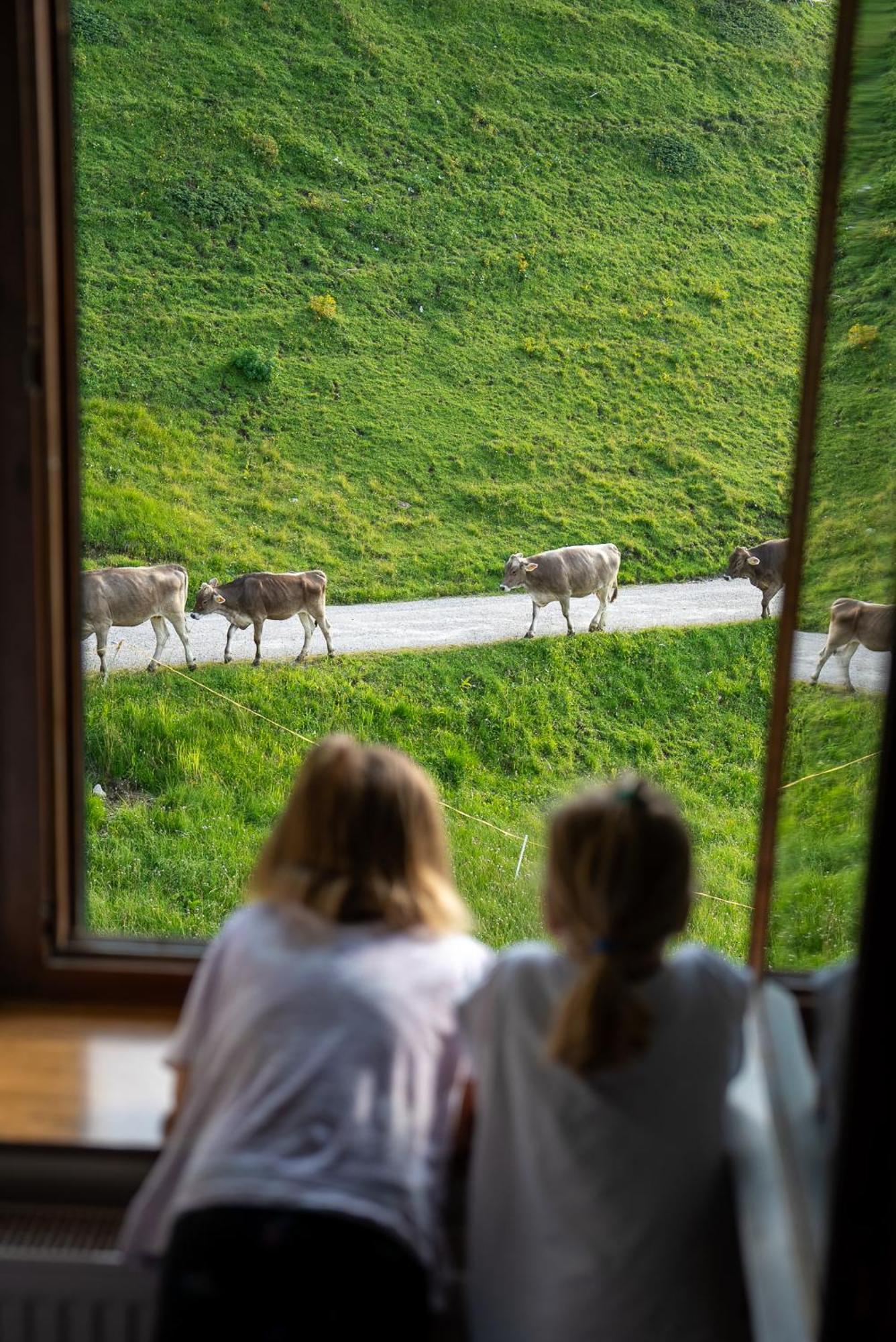 Hotel Alpen Arnika Tauplitzalm Luaran gambar
