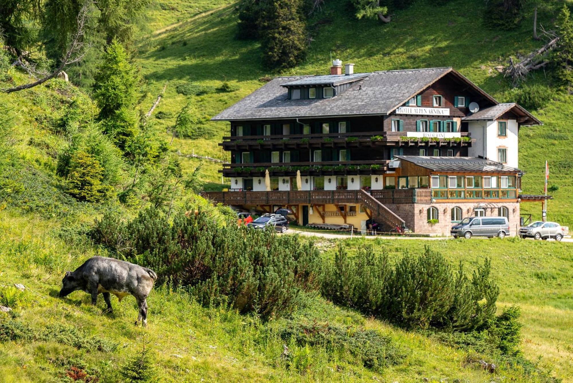 Hotel Alpen Arnika Tauplitzalm Luaran gambar